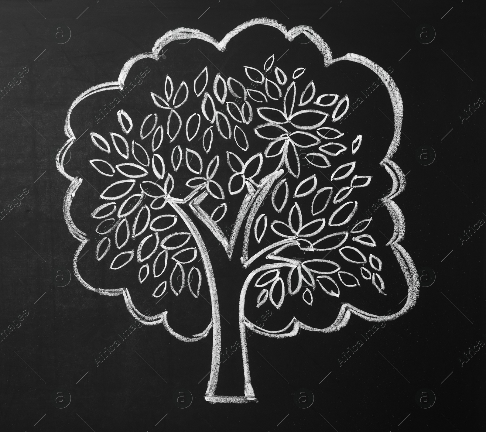 Photo of Beautiful drawing of tree on black chalkboard