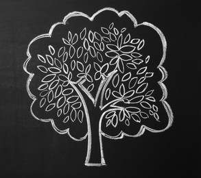 Photo of Beautiful drawing of tree on black chalkboard