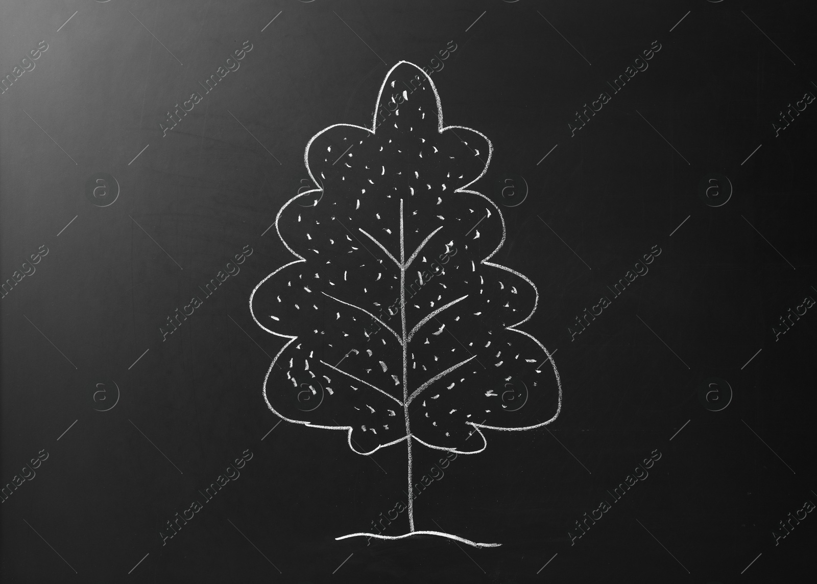 Photo of Beautiful drawing of tree on black chalkboard