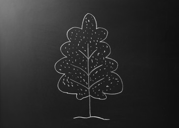 Photo of Beautiful drawing of tree on black chalkboard