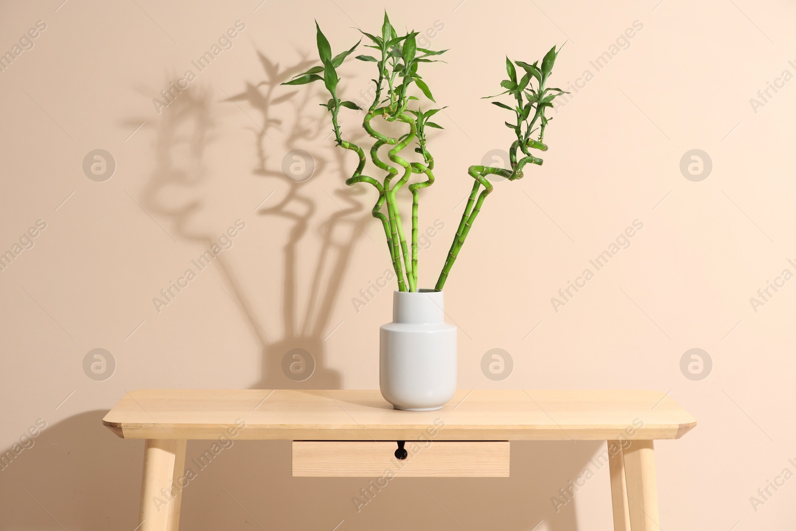 Photo of Decorative bamboo plant in vase on table near beige wall