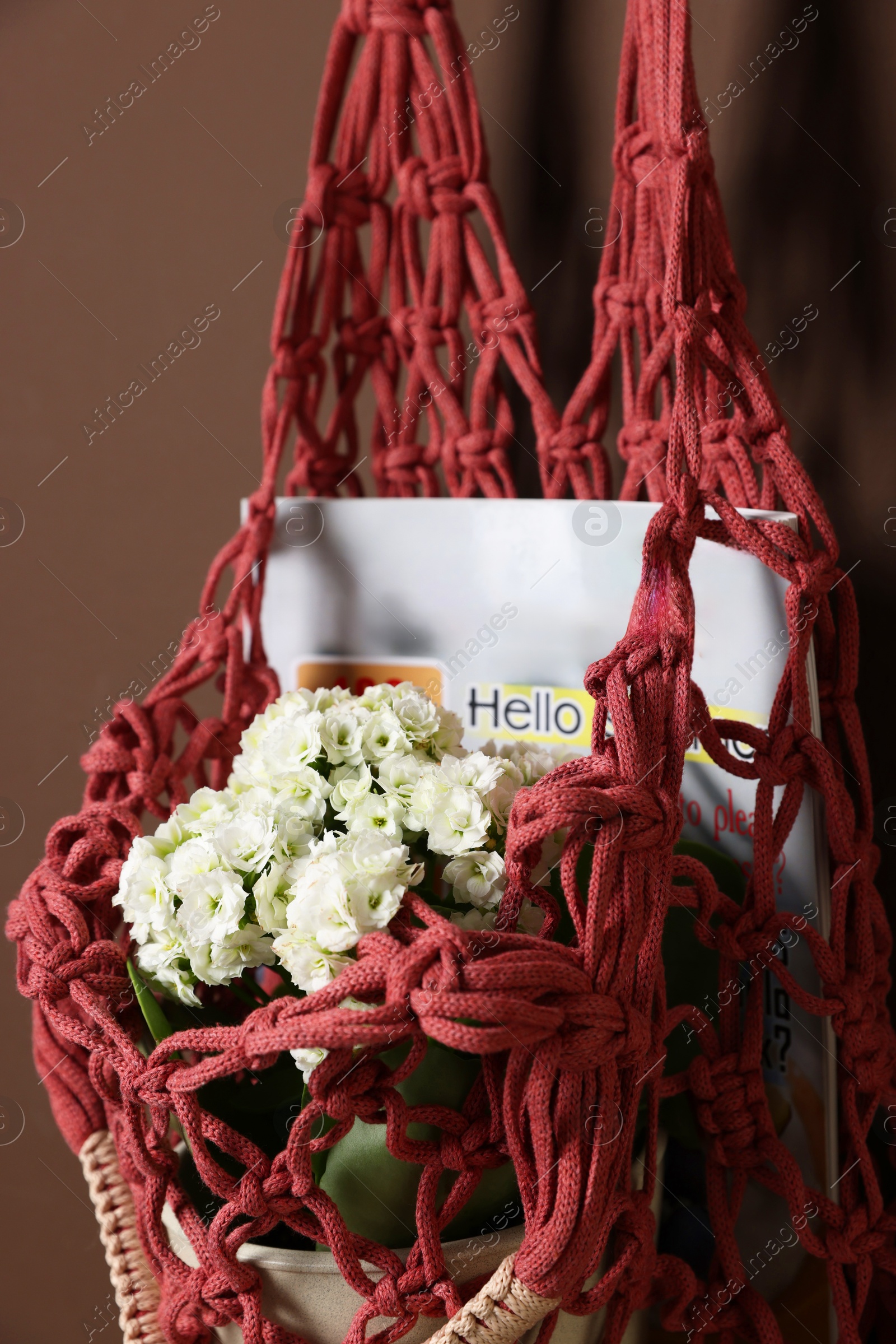 Photo of Handmade macrame shopping bag with magazine and flowers on brown wall, closeup