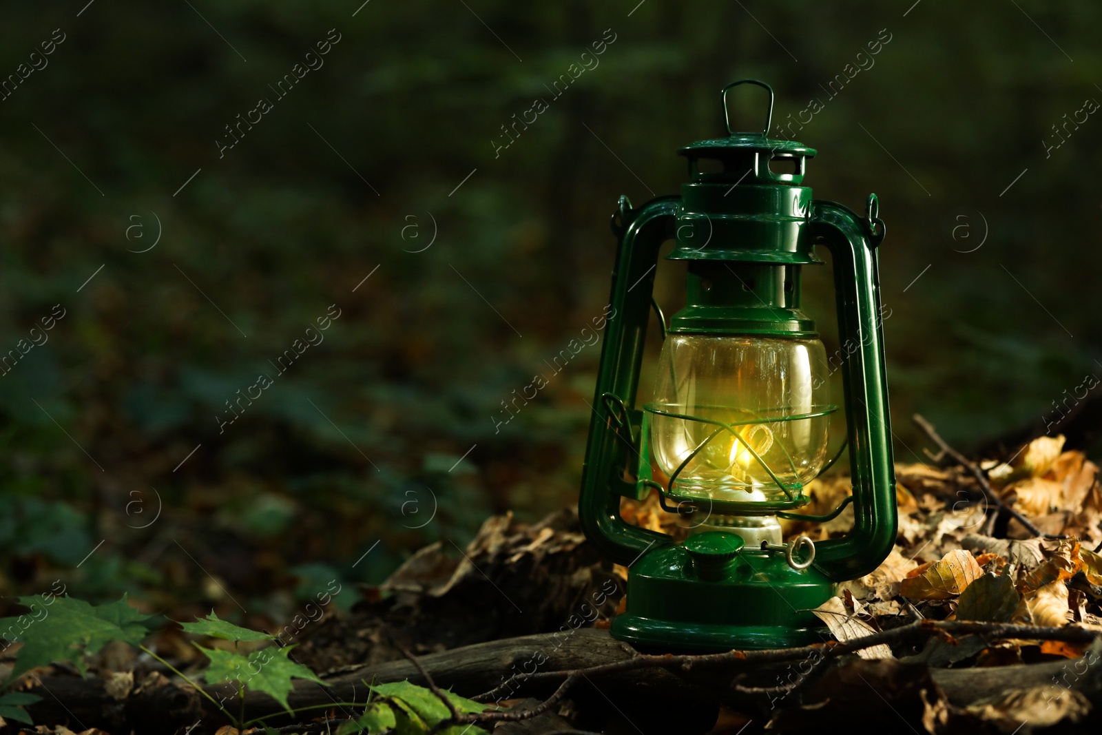 Photo of Vintage kerosene lamp in forest at evening, space for text