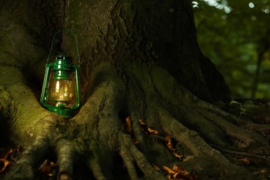 Photo of Vintage kerosene lamp near tree in forest at evening, space for text