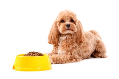 Photo of Feeding bowl with dry pet food and cute dog on white background