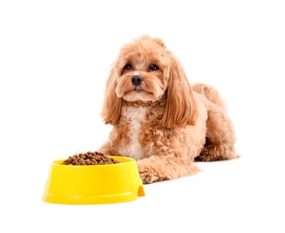 Photo of Feeding bowl with dry pet food and cute dog on white background