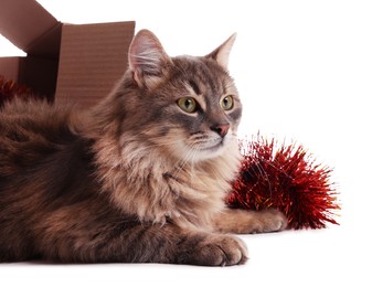 Photo of Cute cat near cardboard box and red Christmas tinsel isolated on white