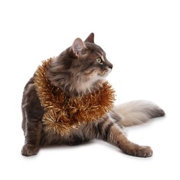 Photo of Cute cat with bright Christmas tinsel isolated on white