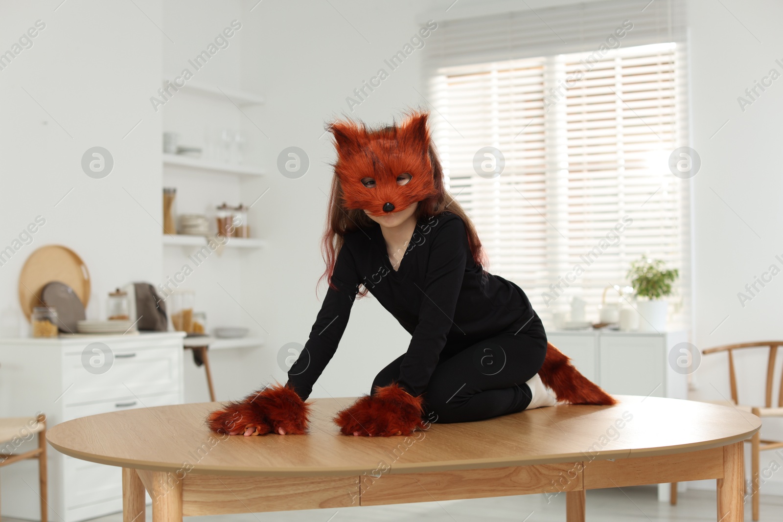 Photo of Quadrobics. Girl wearing fox mask, tail and gloves on table at home