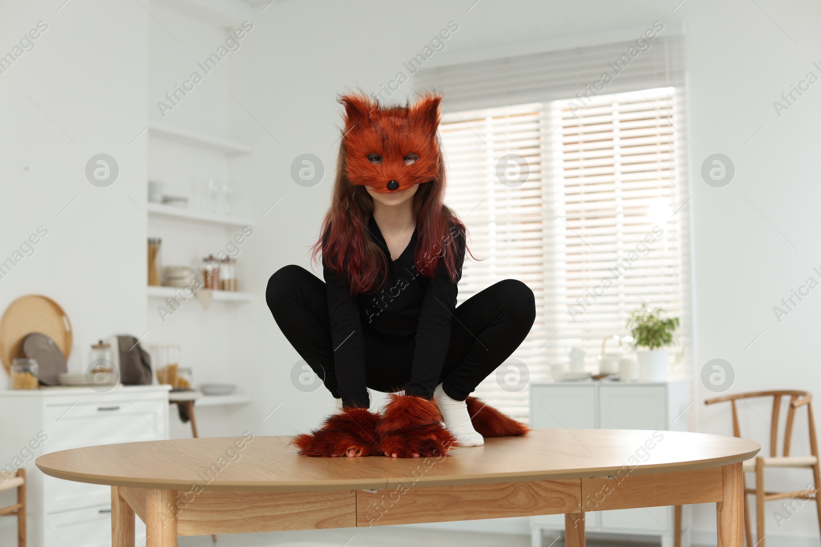 Photo of Quadrobics. Girl wearing fox mask, tail and gloves on table at home