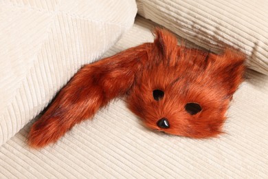 Photo of Quadrobics. Fox mask and tail on sofa