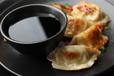 Photo of Fried gyoza dumplings with green onions, chili peppers and soy sauce on black table, closeup