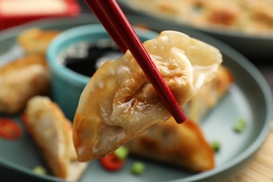 Photo of Eating fried gyoza dumplings at table, closeup