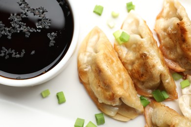 Photo of Fried gyoza dumplings with green onions and soy sauce on plate, closeup