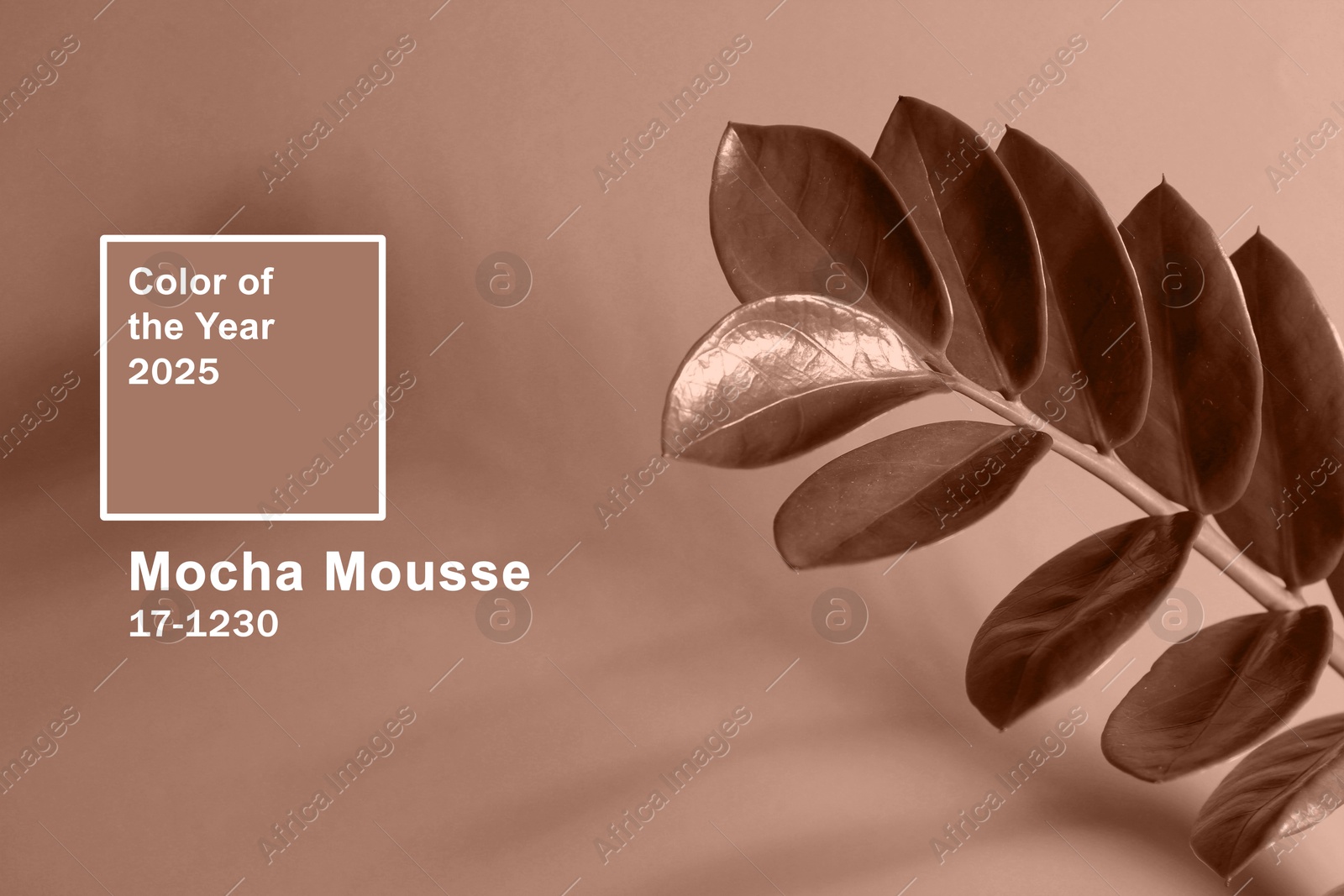 Image of Mocha mousse - color of 2025 year. Plant with leaves on background, toned in brown shade