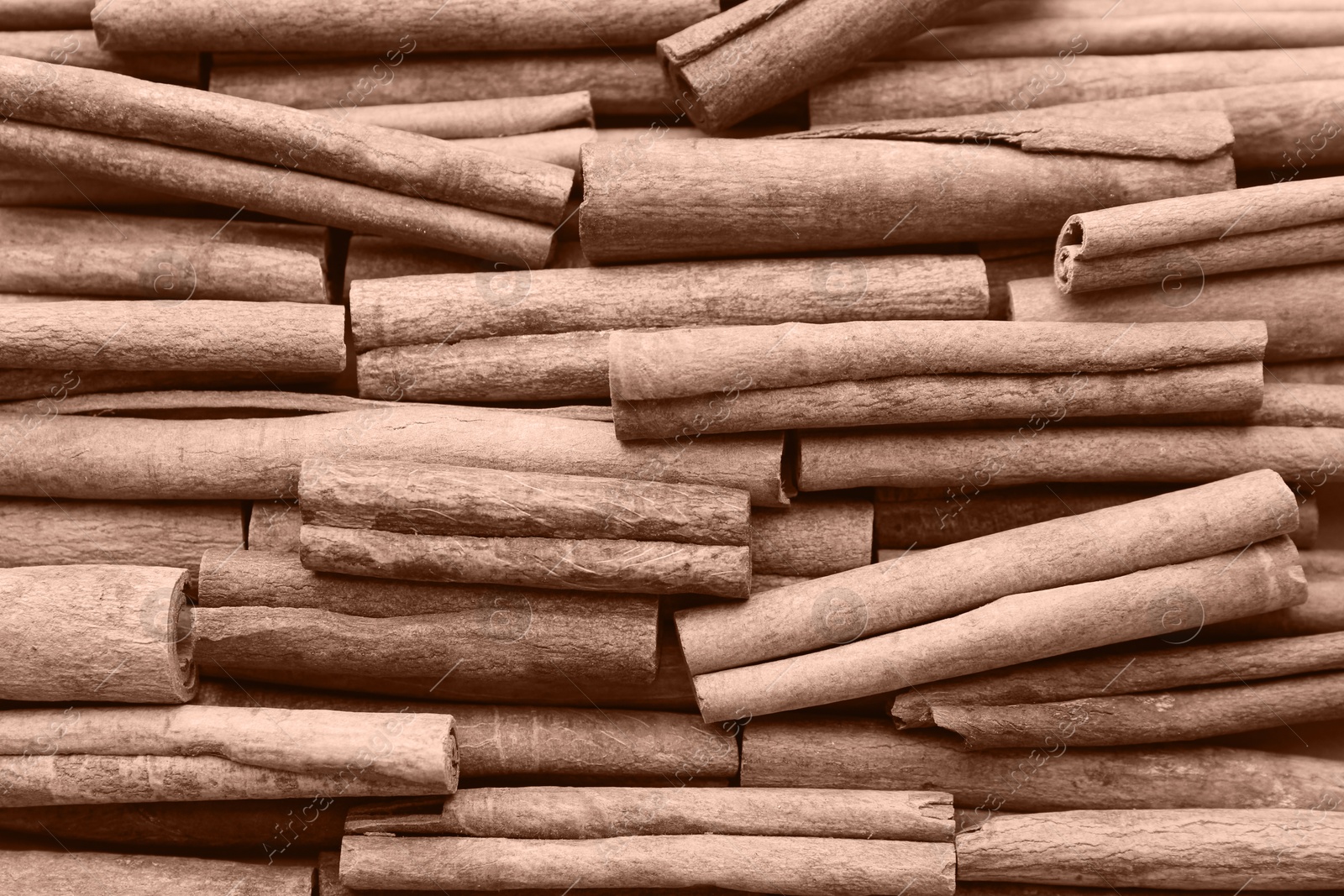 Image of Cinnamon sticks, top view. Mocha mousse - color of 2025 year