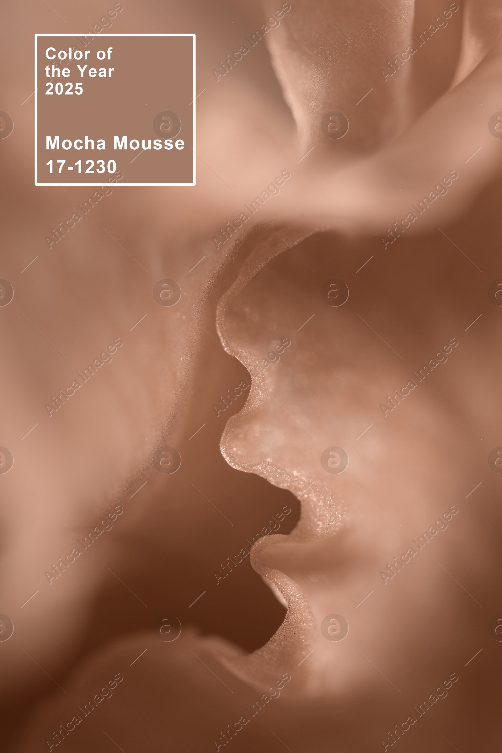 Image of Mocha mousse - color of 2025 year. Plant toned in brown shade, closeup