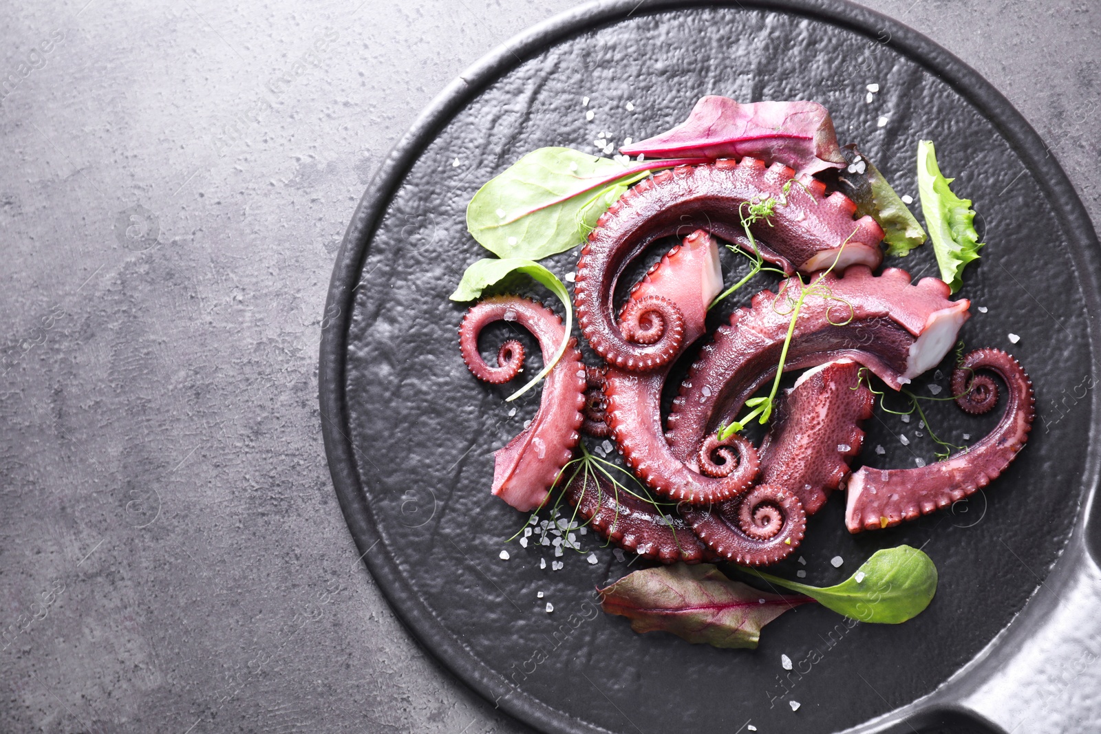 Photo of Tasty boiled octopus tentacles, microgreens and salt on grey textured table, top view. Space for text