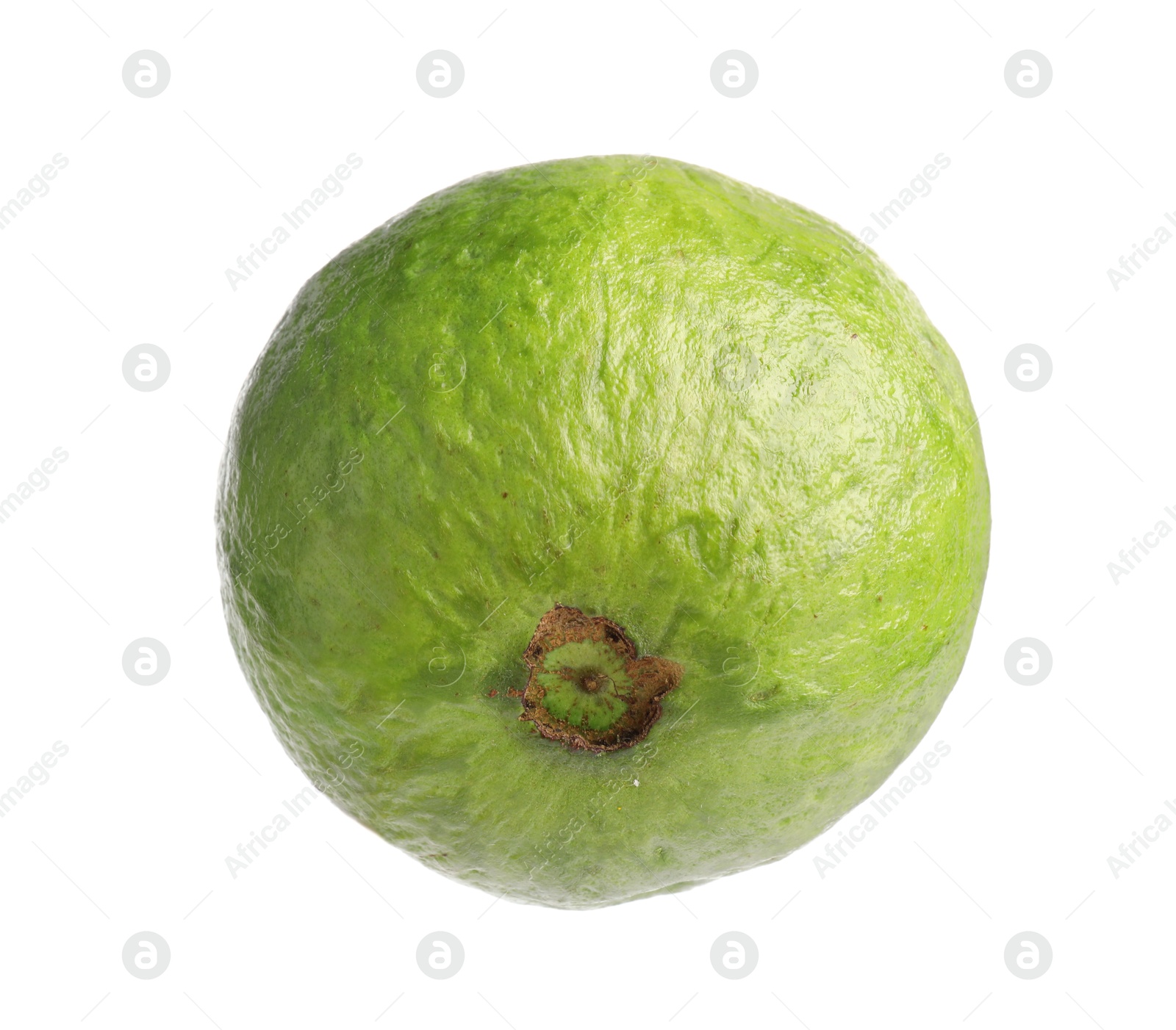 Photo of One fresh guava fruit isolated on white