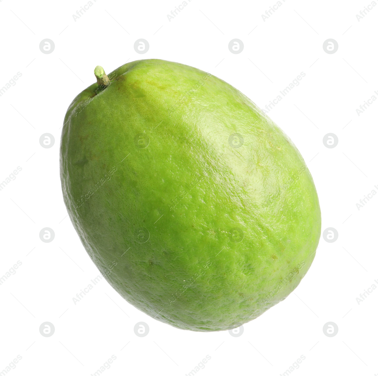 Photo of One fresh guava fruit isolated on white