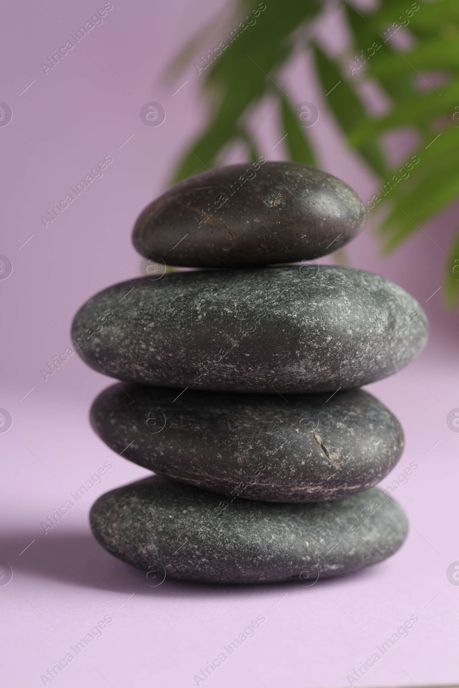 Photo of Stack of rocks on lilac background. Harmony and life balance