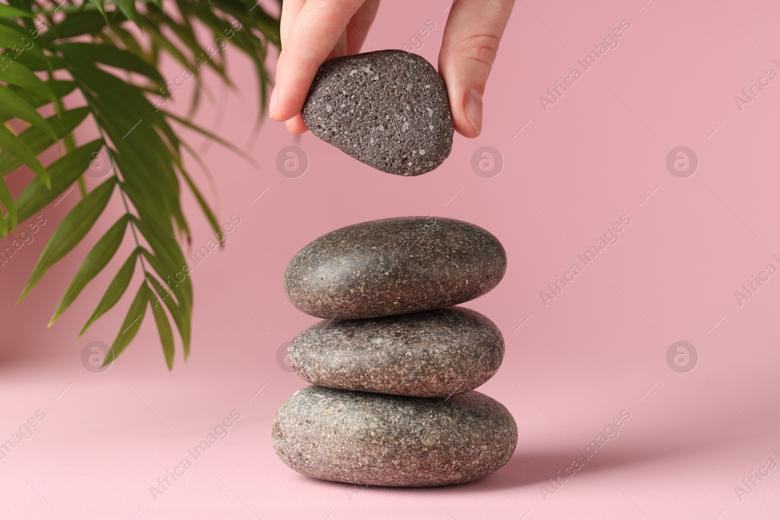 Photo of Woman making stack of stones on pink background, closeup. Harmony and life balance