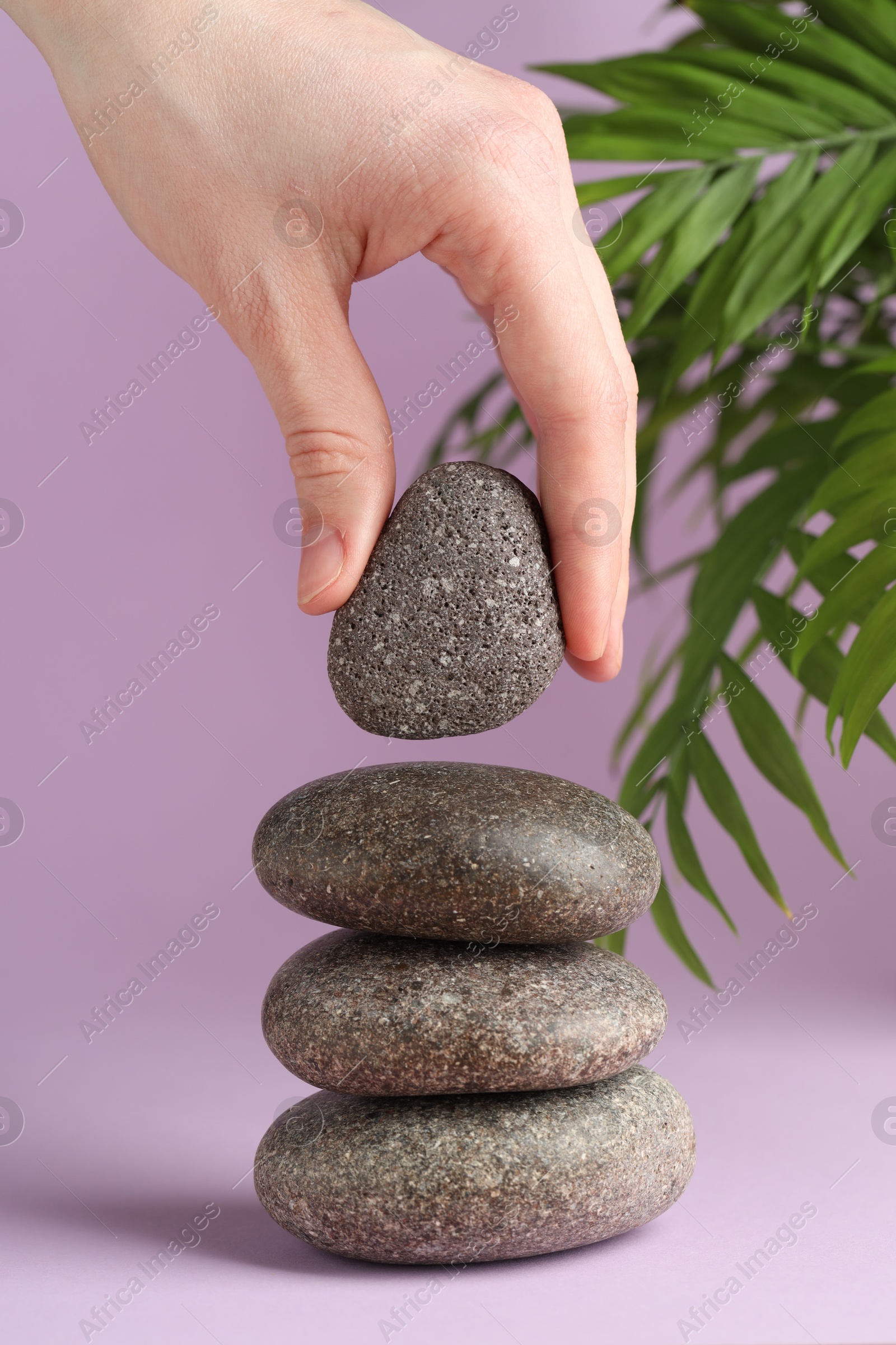 Photo of Woman making stack of stones on lilac background, closeup. Harmony and life balance