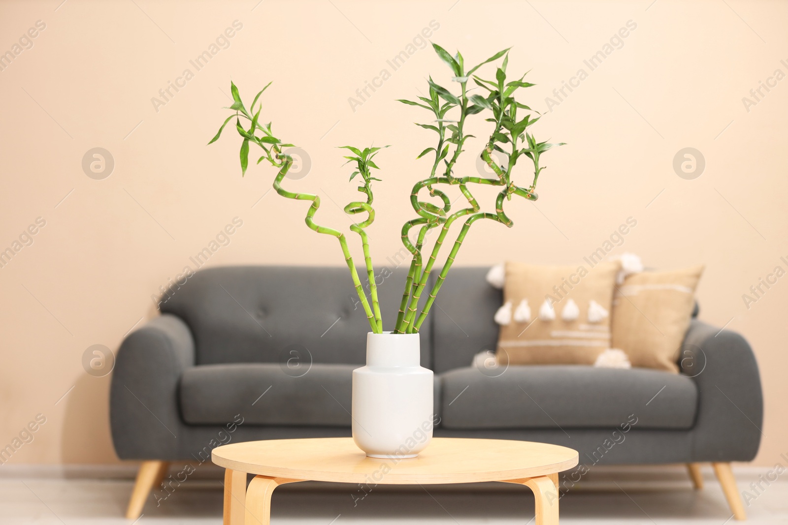 Photo of Decorative bamboo plant in vase on table indoors