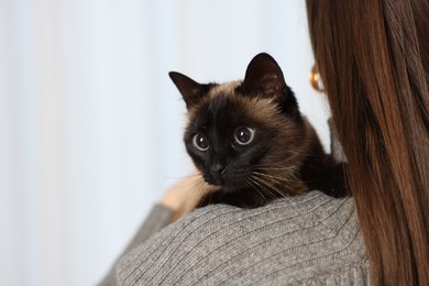 Photo of Woman with adorable Thai cat on blurred background, closeup. Space for text