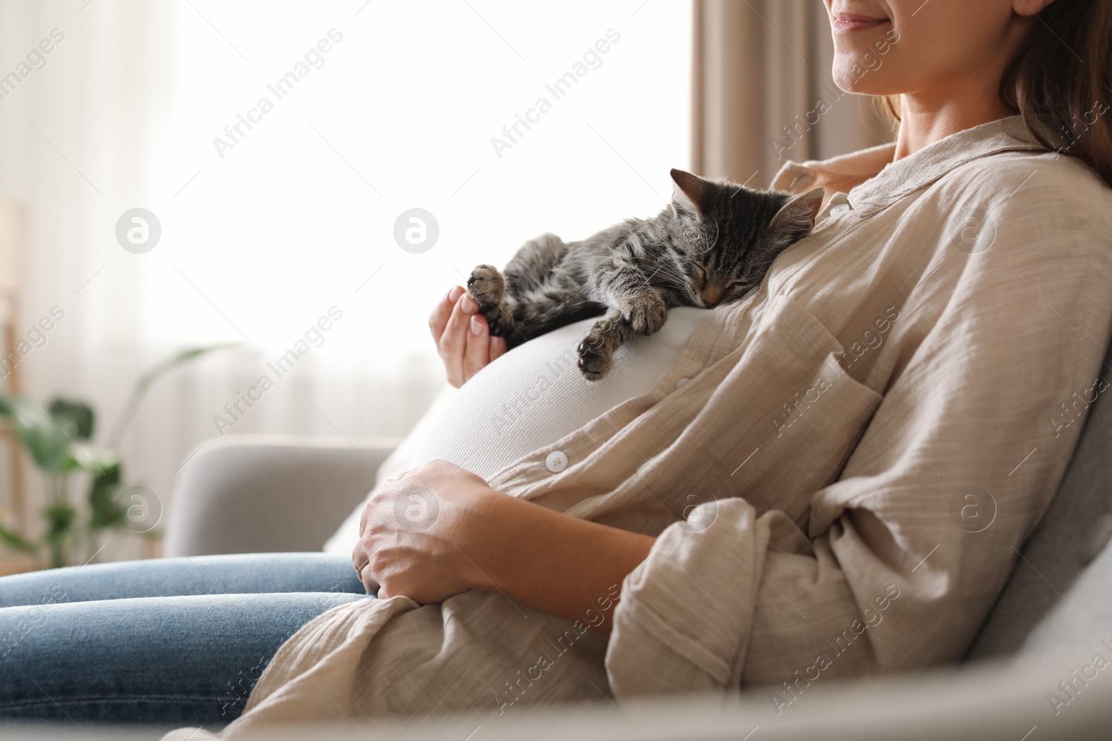 Photo of Pregnant woman with cute cat sleeping on her belly at home, closeup