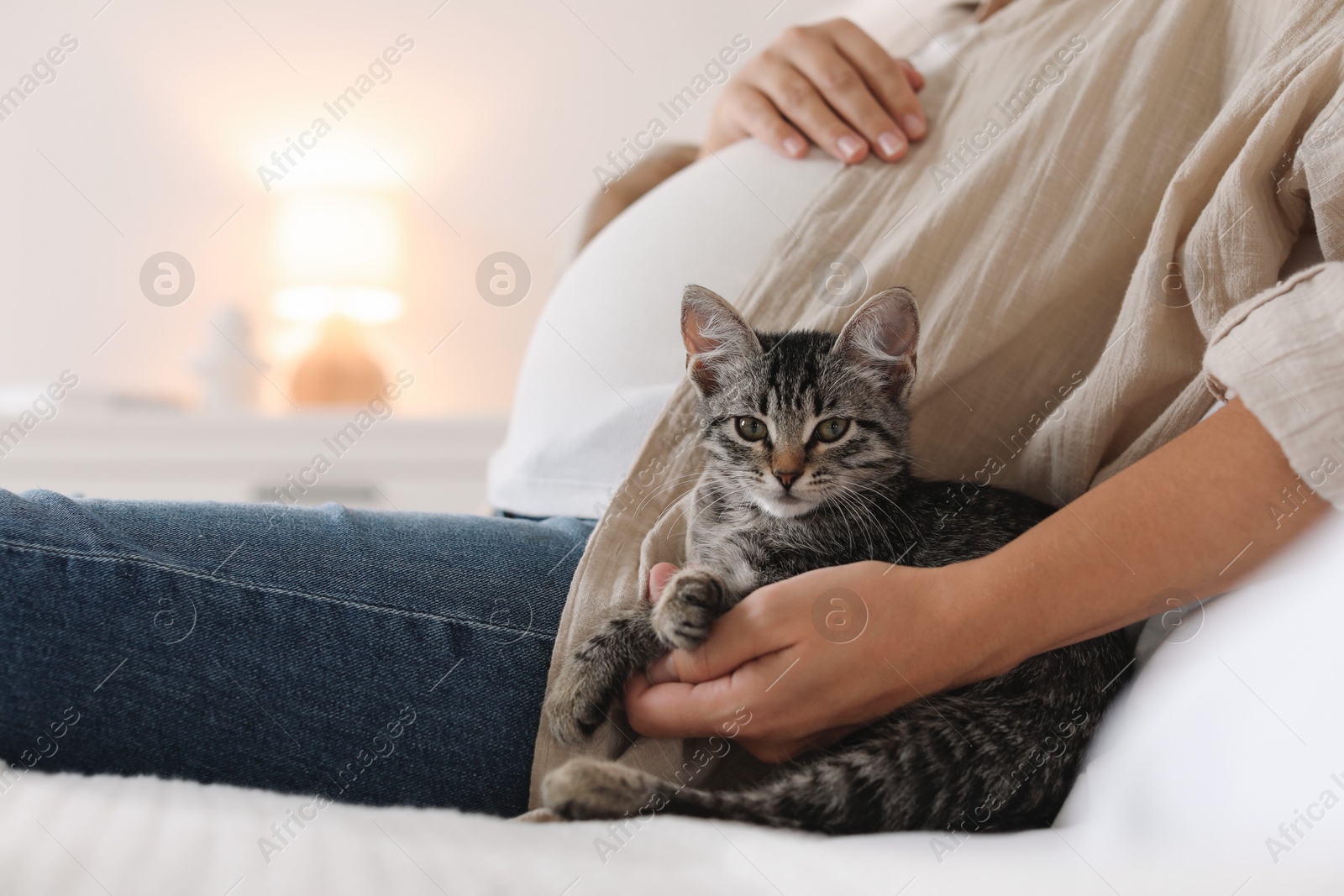 Photo of Pregnant woman with cute cat at home, closeup