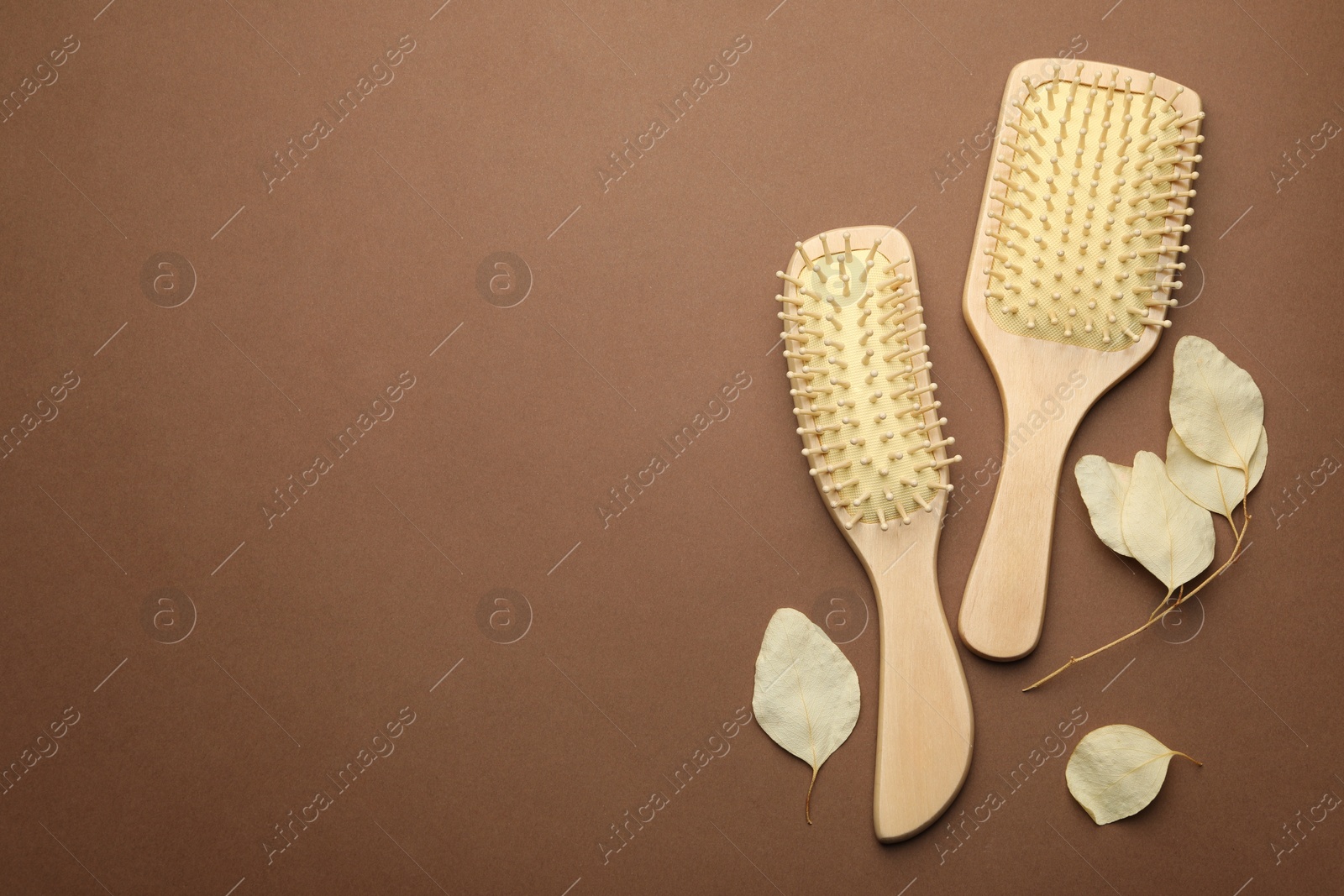 Photo of Wooden hair brushes and plant on brown background, flat lay. Space for text