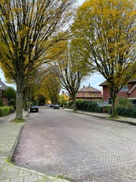 Photo of Trees with beautiful yellow leaves and parked cars on city street