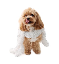 Photo of Cute dog with shiny tinsel on white background