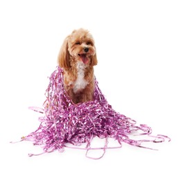 Photo of Cute dog with shiny tinsels on white background