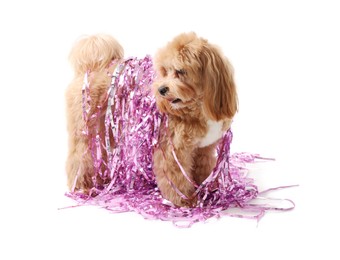 Photo of Cute dog with shiny tinsels on white background