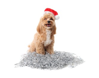 Photo of Cute dog with shiny tinsels in Santa hat on white background