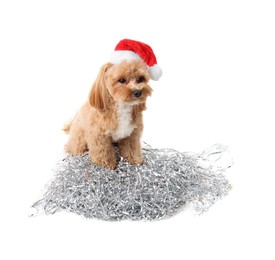 Photo of Cute dog with shiny tinsels in Santa hat on white background