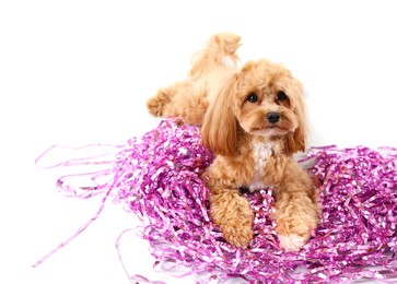 Photo of Cute dog with pile of shiny tinsels on white background. Space for text