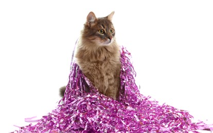 Photo of Cute cat with bright Christmas tinsel isolated on white