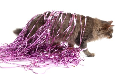 Photo of Cute cat with bright Christmas tinsel isolated on white