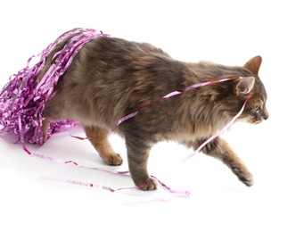 Photo of Cute cat with bright Christmas tinsel isolated on white