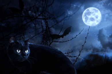 Image of Creepy black cat and bat at night under full moon light