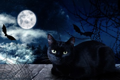 Image of Creepy black cat sitting on wooden surface at night under full moon light