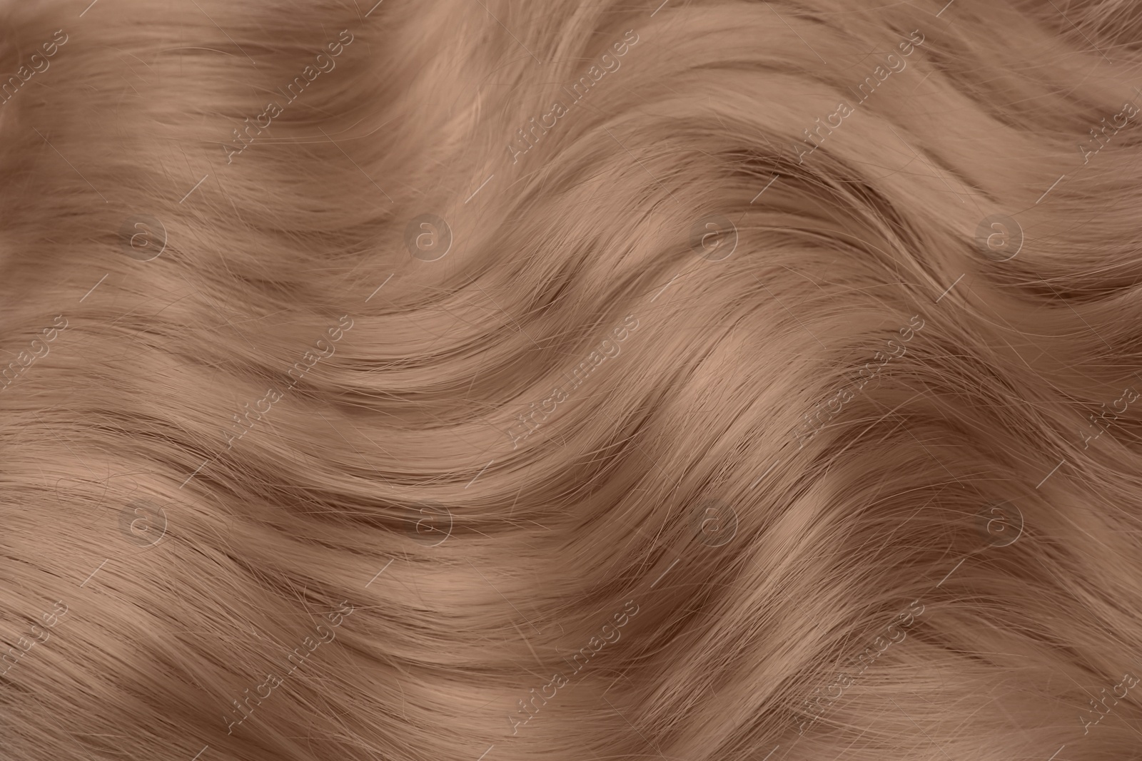 Image of Beautiful hair in mocha mousse shade, closeup. Trendy color of 2025 year