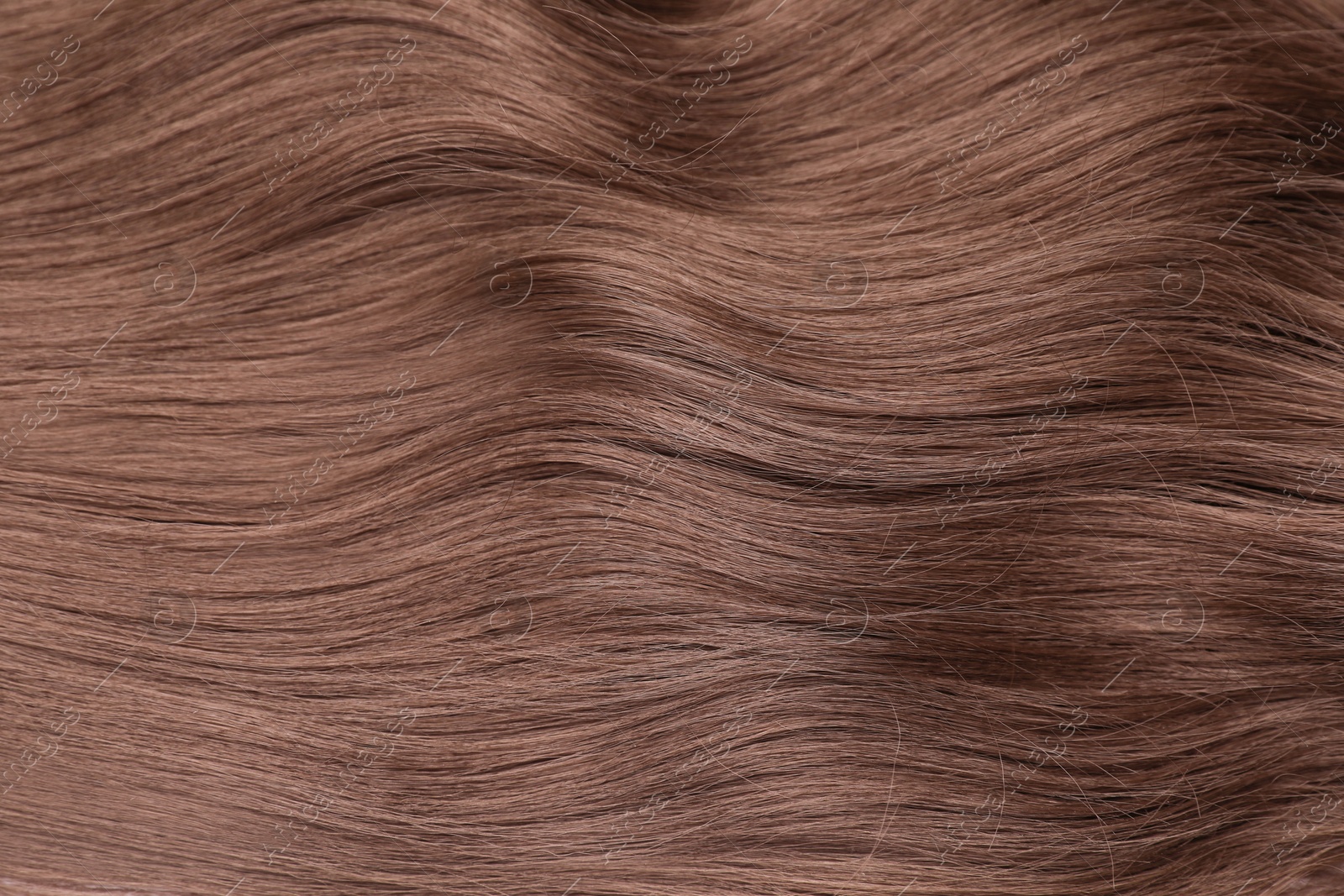 Image of Beautiful hair in mocha mousse shade, closeup. Trendy color of 2025 year