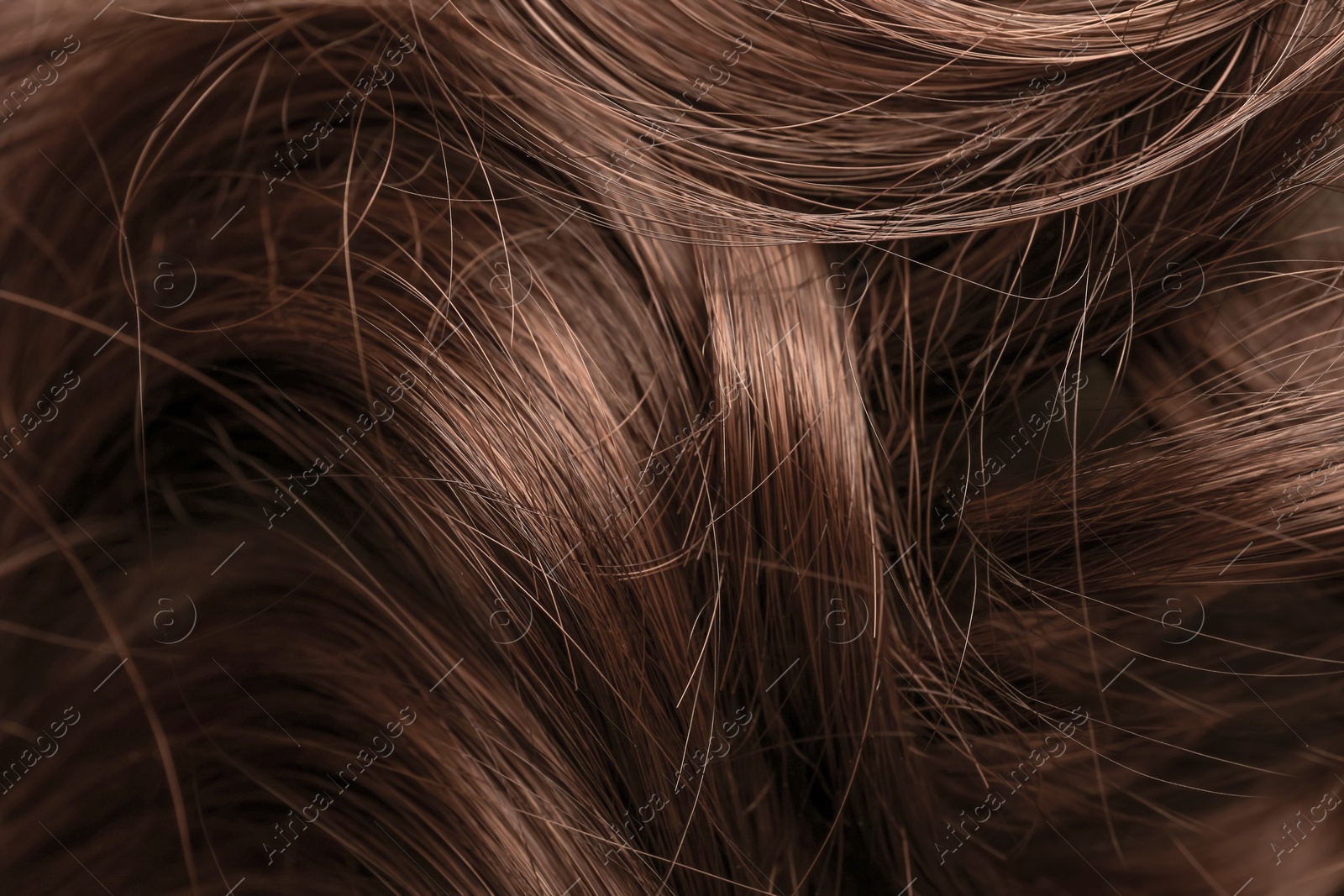 Image of Beautiful hair in mocha mousse shade, closeup. Trendy color of 2025 year