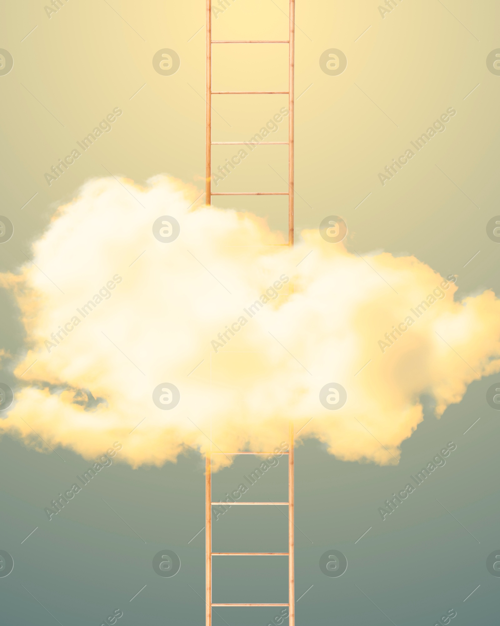 Image of Ladder coming through cloud on color gradient background