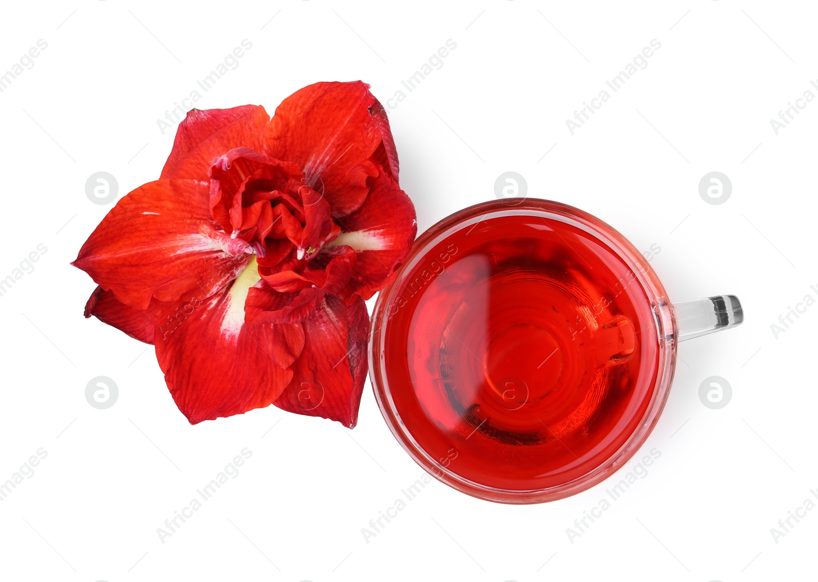 Photo of Tasty hibiscus tea in glass cup and flower isolated on white, top view