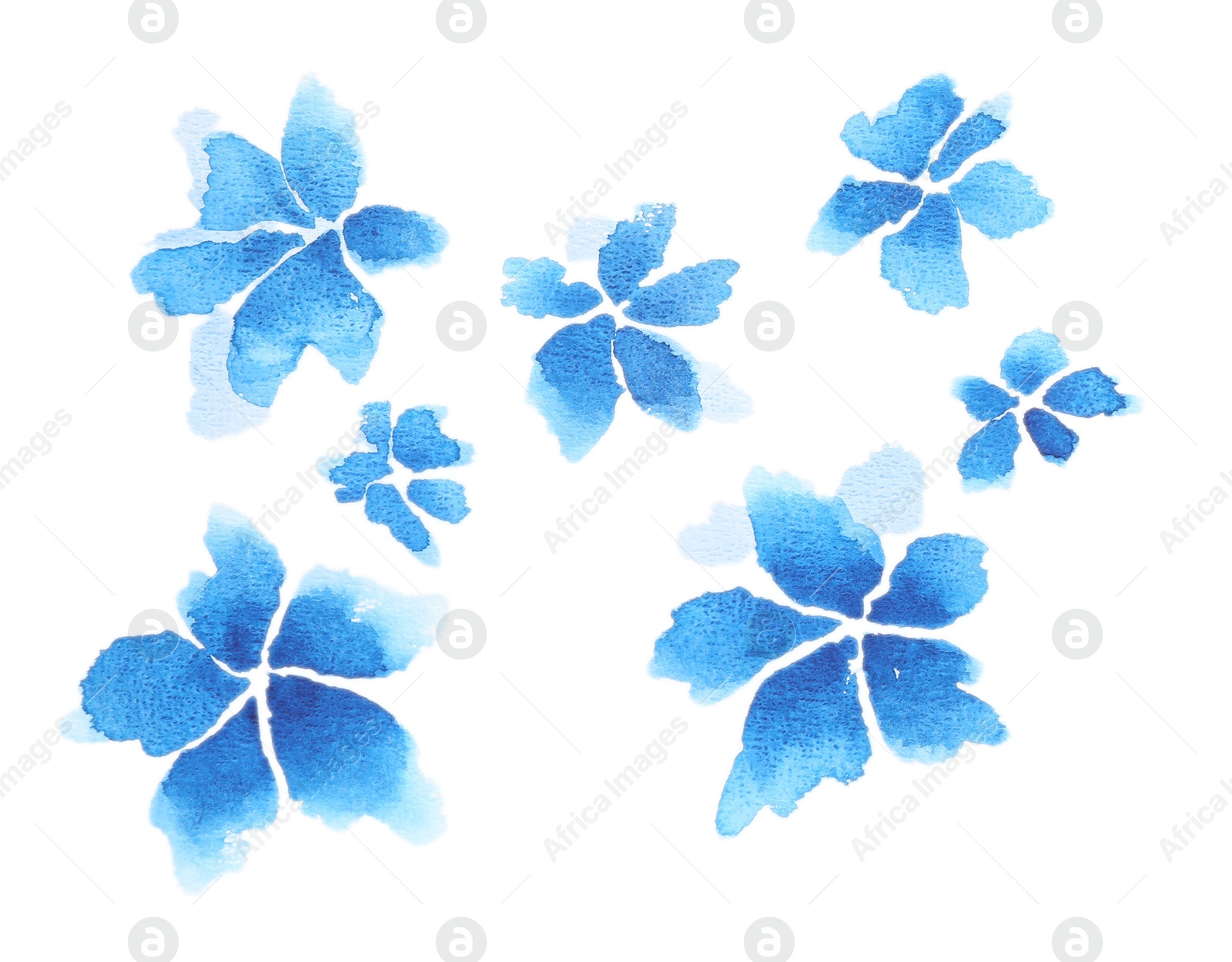 Photo of Watercolor painting of blue flowers isolated on white, top view